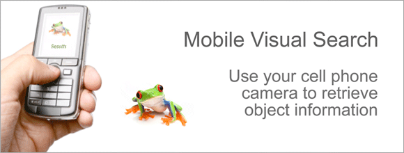 Mobile Visual Search